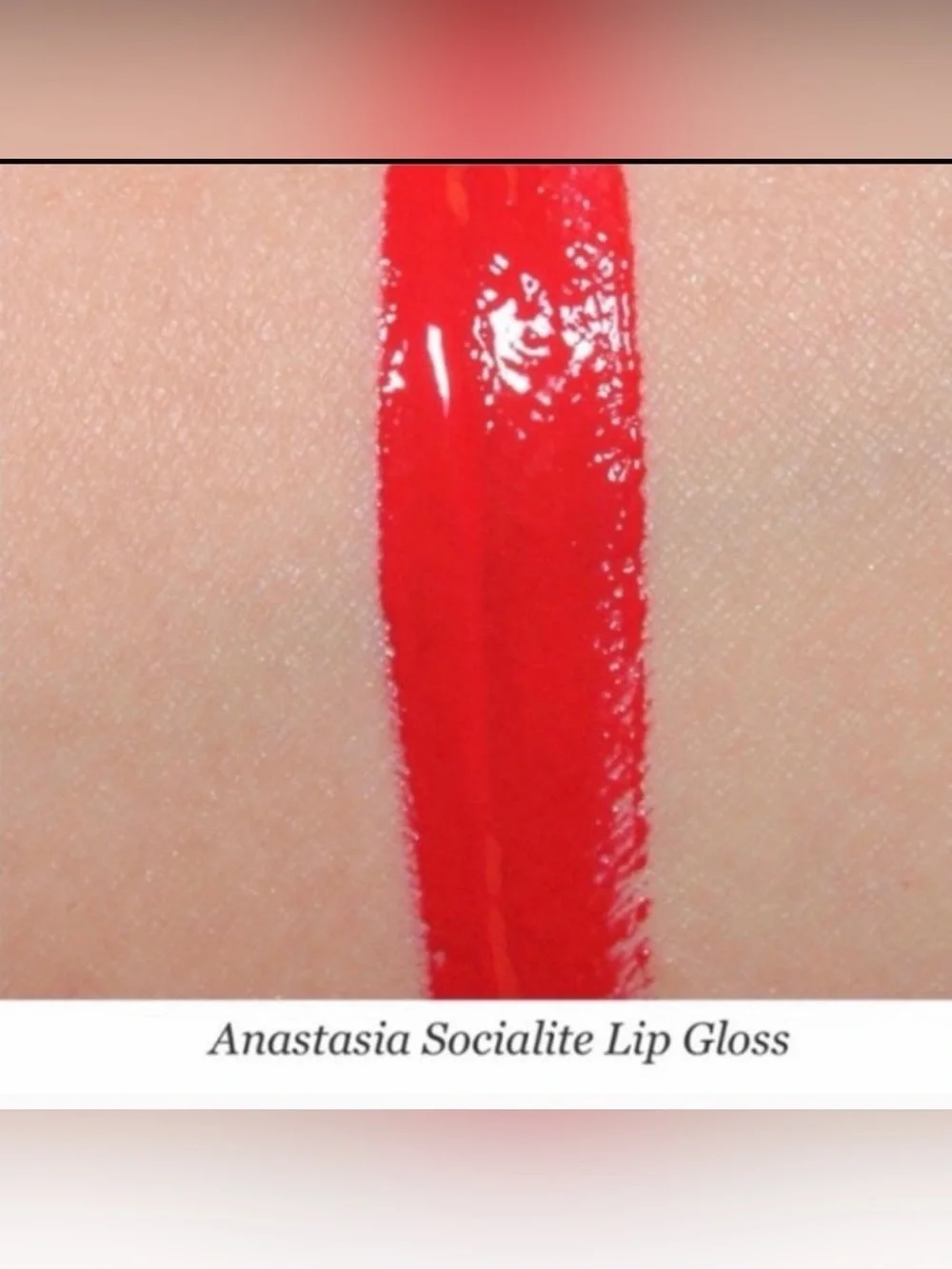 2 Anastasia Beverly Hills Bundle Lipglosses in Socialite and Venom & a lip case